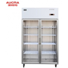 冷藏柜VC-1.0D2NGT-CB7